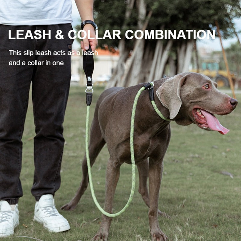 Truelove Dog Training Leash and Collar combo - Durable Heavy Duty Slip Lead TLL2575