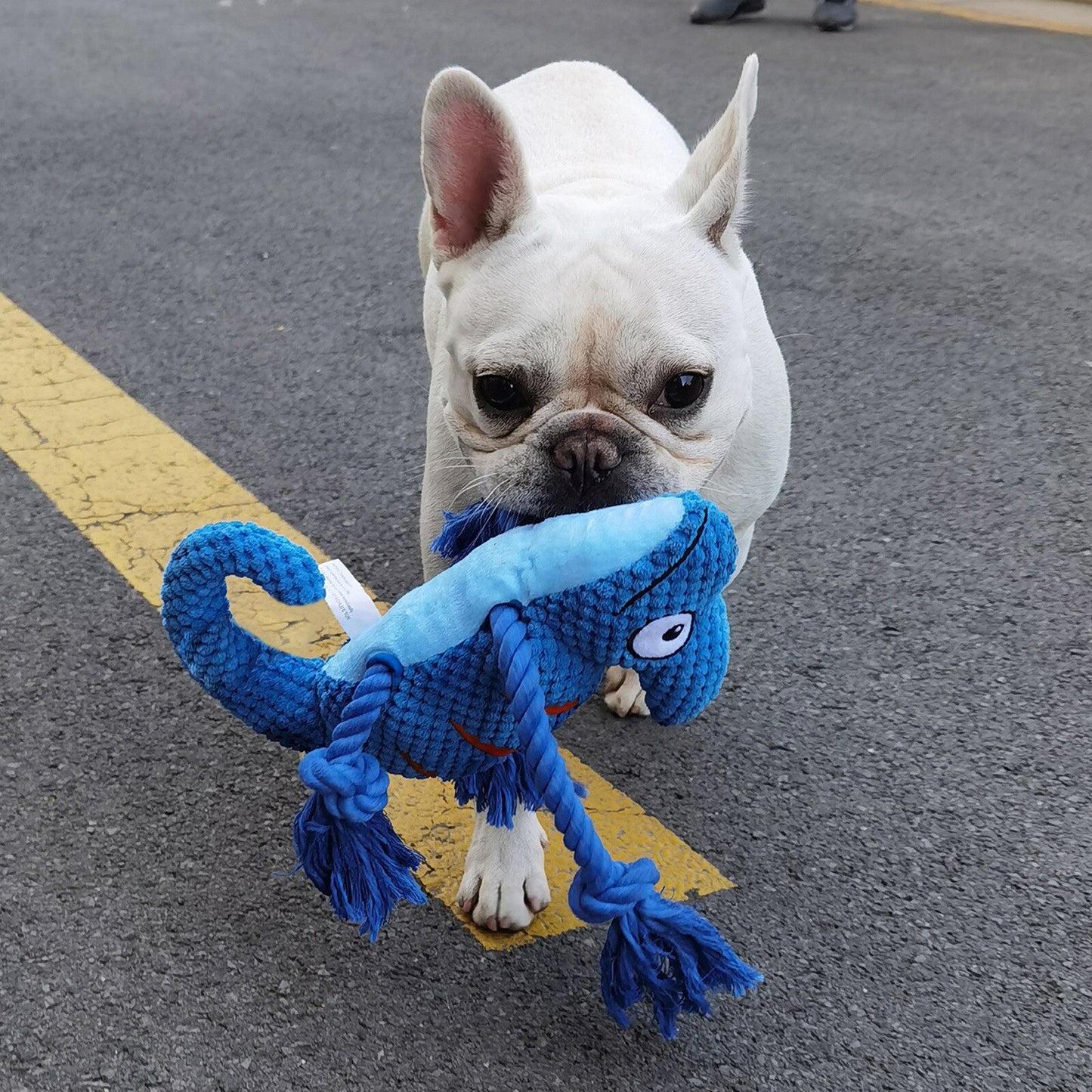 Chameleon Plush Interactive Squeaky Rope Dog Toy