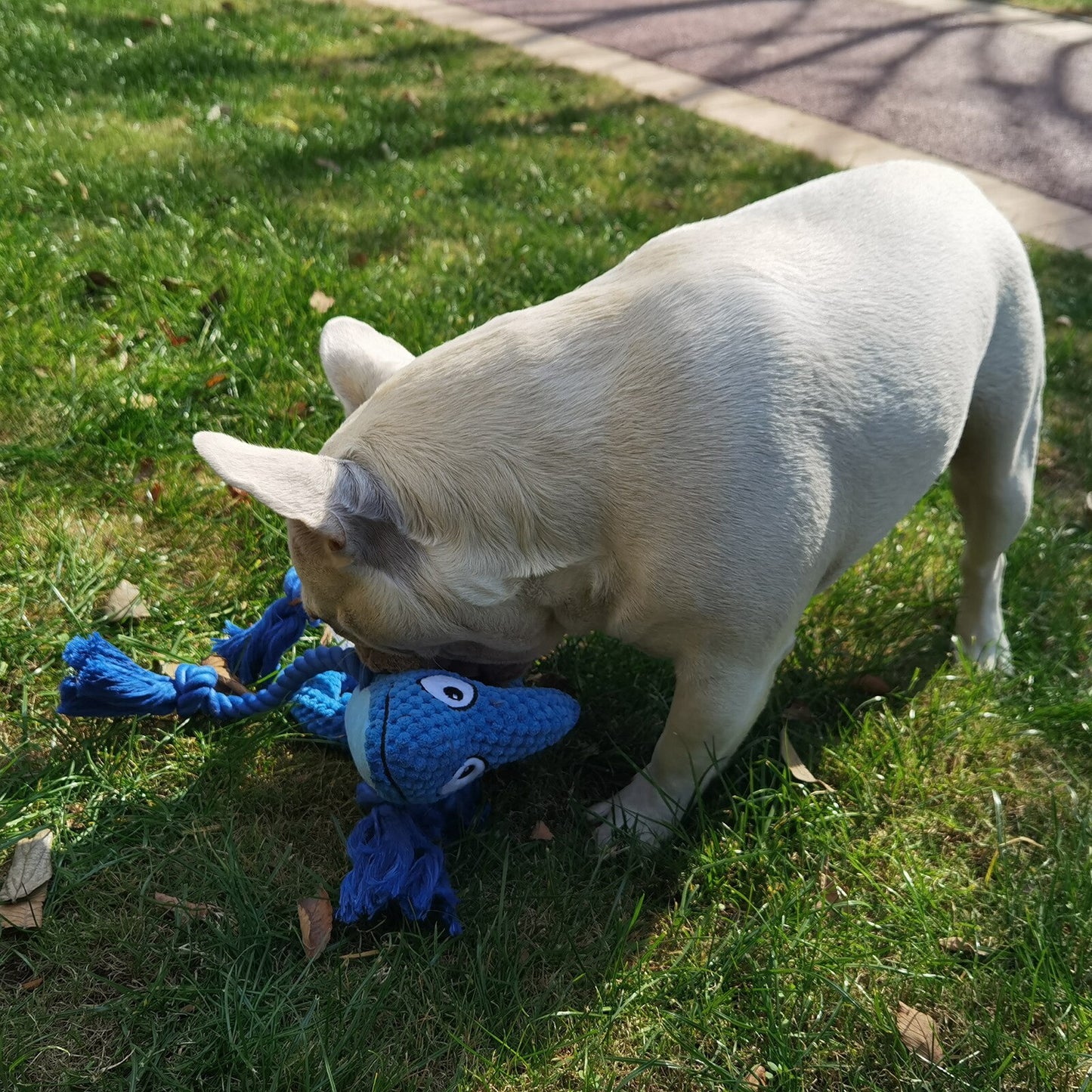 Chameleon Plush Interactive Squeaky Rope Dog Toy