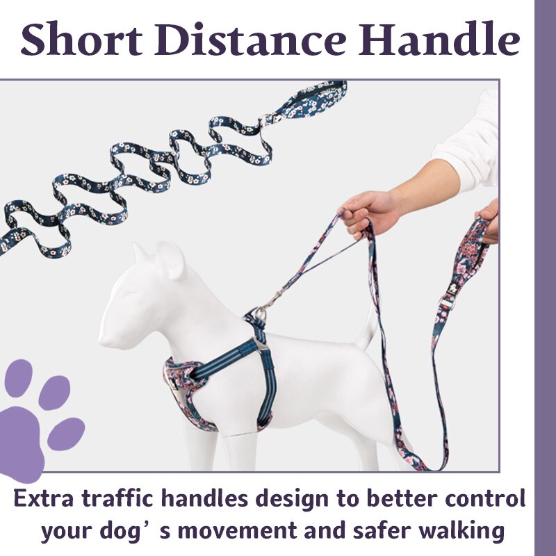 Truelove Nylon Dog Leash with Padded Double Handle - Small, medium & large dogs