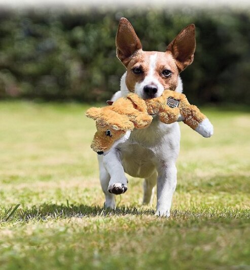 KONG - Scrunch Knots Raccoon - Internal Knotted Ropes and Minimal Stuffing for Less Mess - For Small/Medium/Large Dogs