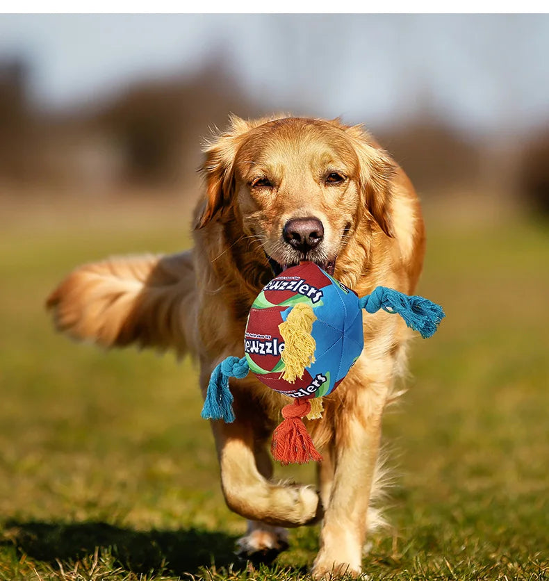 Chewzzlers Squeaky Bite Resistant Rope Dog Toy - 3 types available - suitable for all sizes of Dog