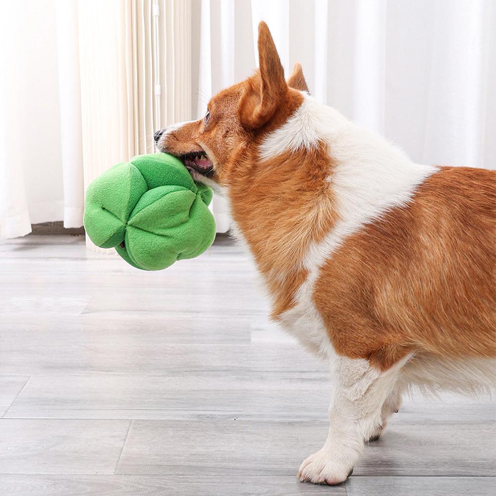 Dog Broccoli Snuffle Ball Foraging Toy