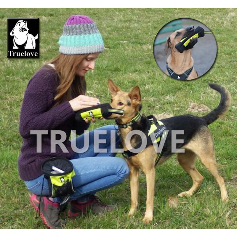 Truelove Feed Dummy Reflective Treat Bag - Various options available