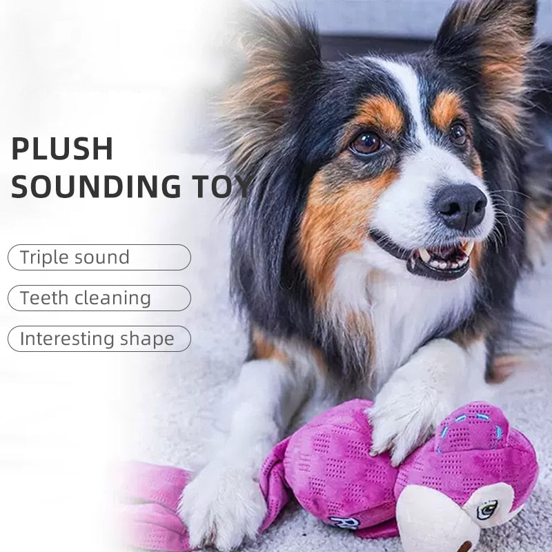 GiGwi Dog Toys Rock Series Sounding Interactive Toy For All Dogs