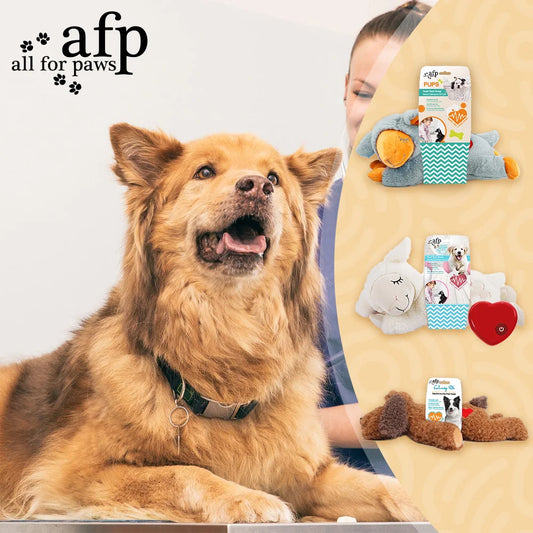 All For Paws Anxiety Soothing Fleece Stuffed Animal Toy