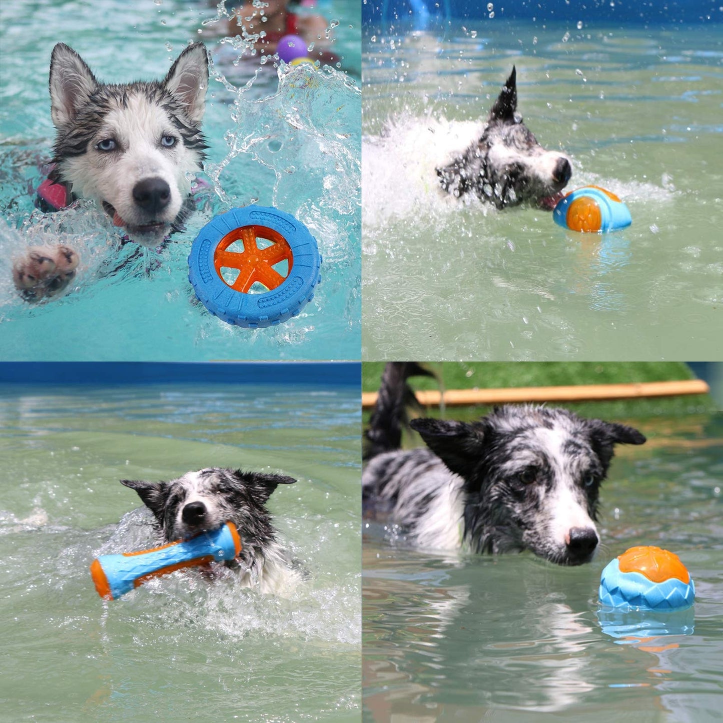 Rubber Bite Resistant Squeaky Floating Dog Toys