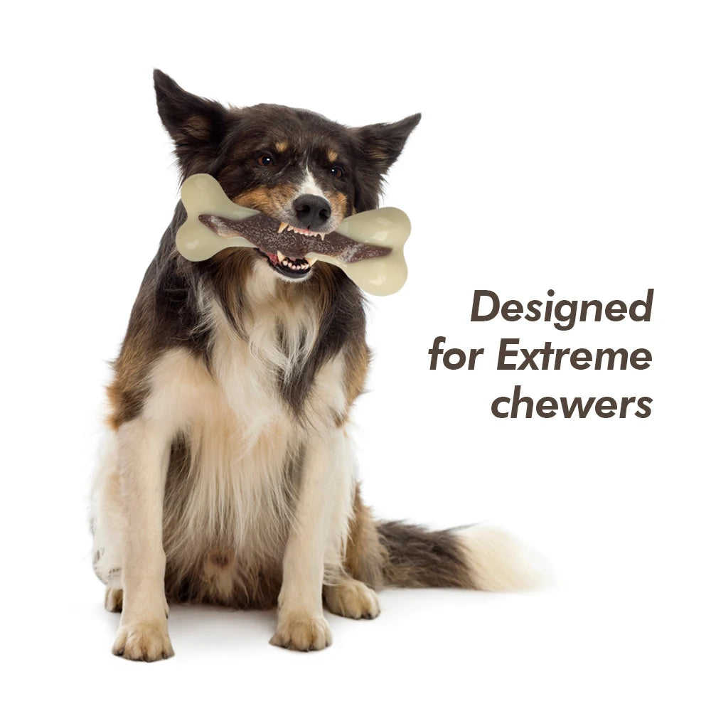 All For Paws Bone Shaped Dog Toy - Great for Aggressive Chewers