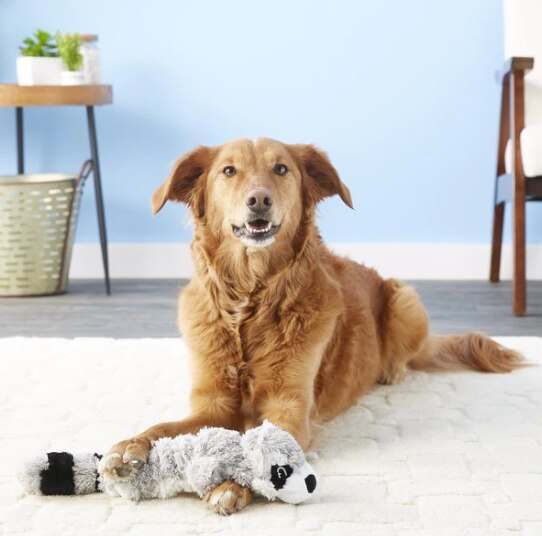 KONG - Scrunch Knots Raccoon - Internal Knotted Ropes and Minimal Stuffing for Less Mess - For Small/Medium/Large Dogs