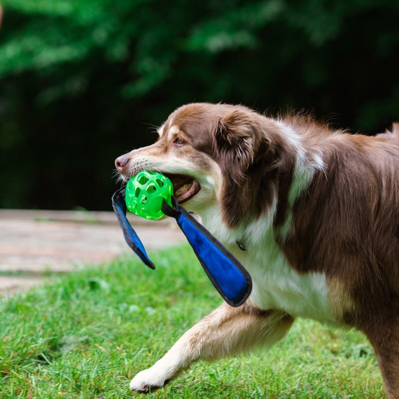 CAITEC Hero Soft Rubber Floating Ball with tabs for Foraging and Interactive Fun