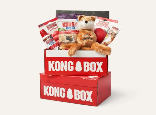 KONG BOX For Puppy -Fit (2-9kg)