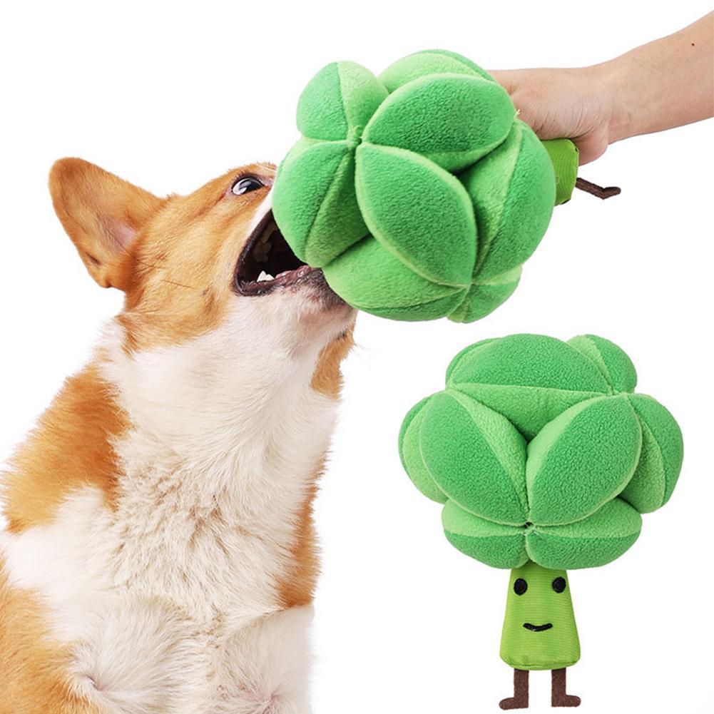 Dog Broccoli Snuffle Ball Foraging Toy